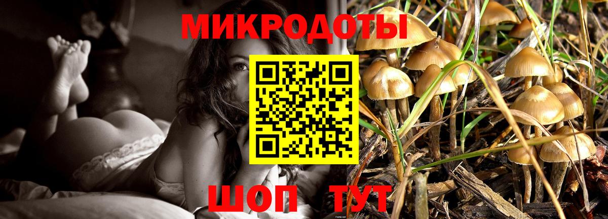 Воркута  Галлюциногенные грибы Magic Shrooms  Галлюциногенные грибы Psilocybine cubensis  Вход с VPN 